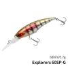 DW118-G Explorer 60SP 3.7m 5.7g