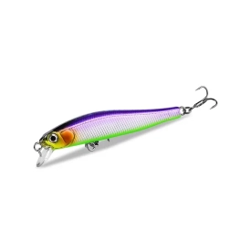 Rigge-70SP 5.2g 0.5-1.0m color H