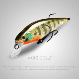 Squad MInnow 95SP 14.8gr 0.8-1.5m color E