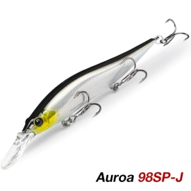 DW201-J Aurora 98SP 10g 2.2m