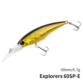 DW118-E Explorer 60SP 3.7m 5.7g