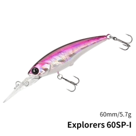 DW118-I Explorer 60SP 3.7m 5.7g