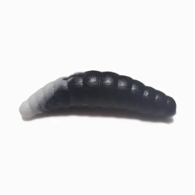 Lichi(Maggot), 1.6", цвет черный с белым - 201, вкус-сыр