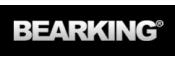 BearKing